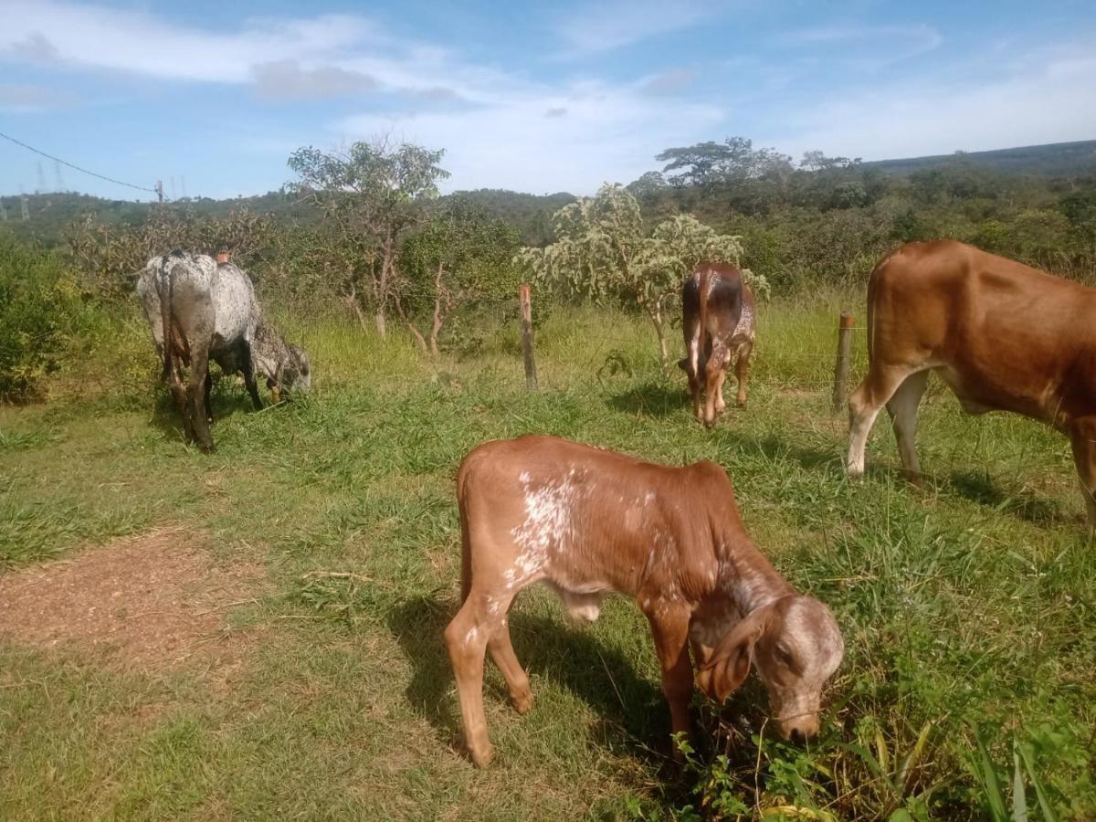 Chale Aconchegante, Pertinho Da Cidade E Conectada A Natureza Brasília Exteriér fotografie